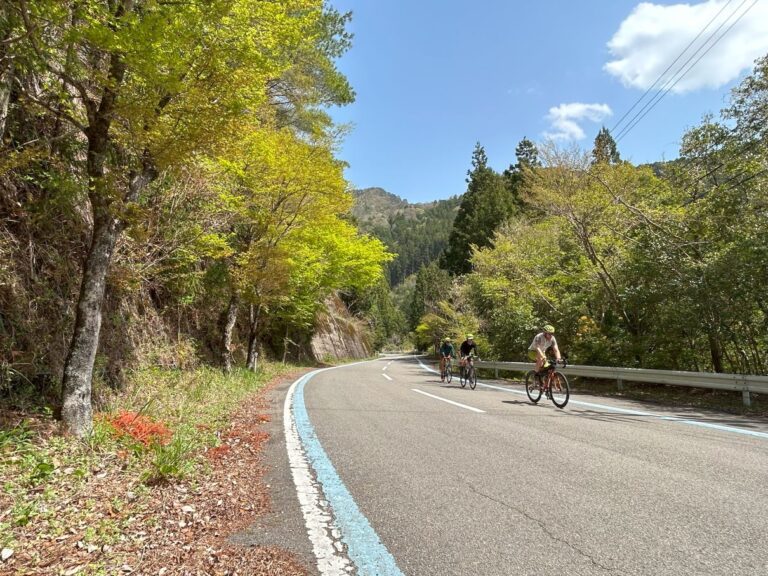 Southern Japan Cycle